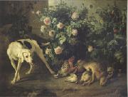 Francois Desportes Dog Guarding Game Near a Rosebush (mk05) oil painting reproduction